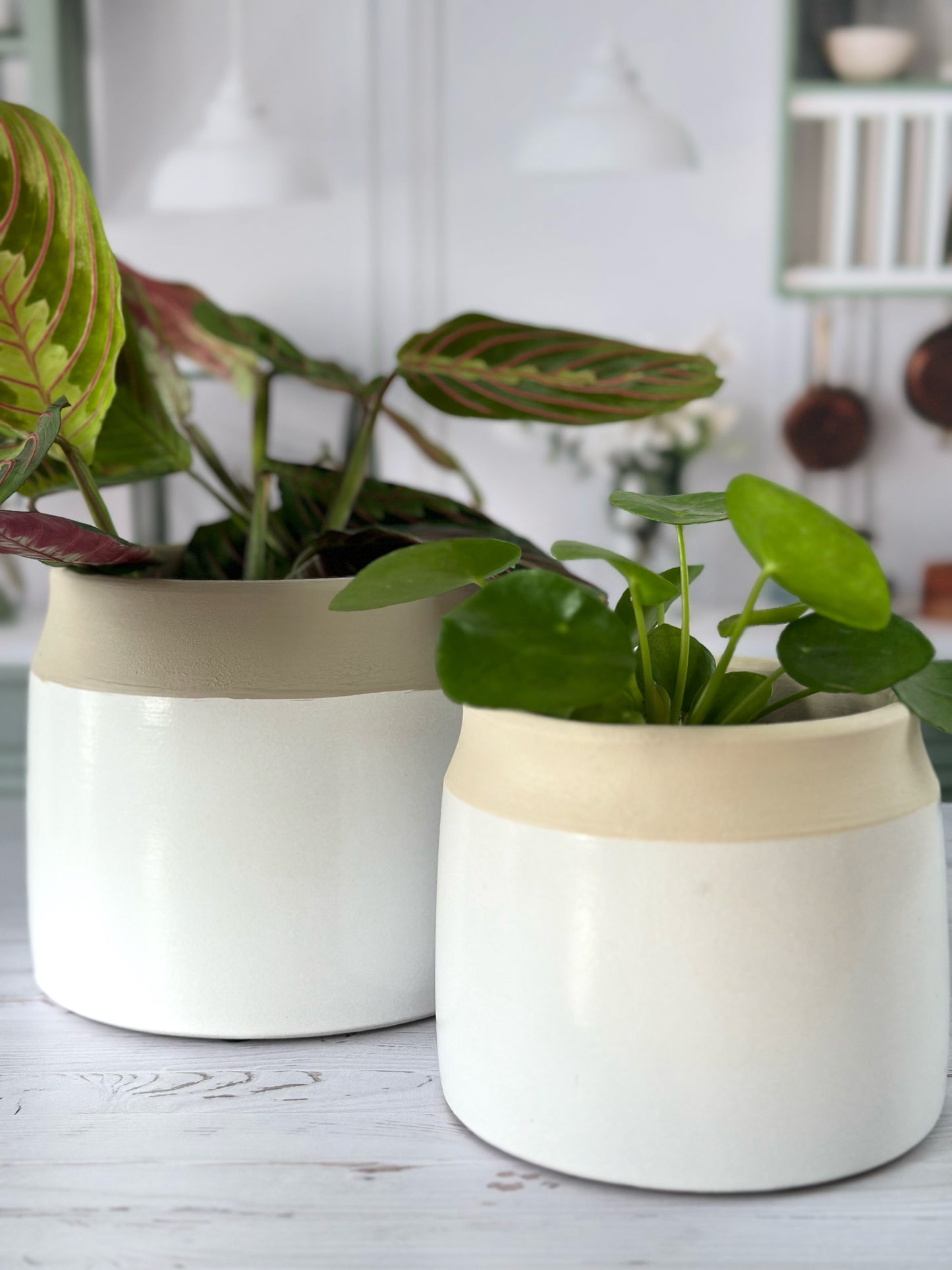 Cache-pot Cobi – Beige & Vert Sauge