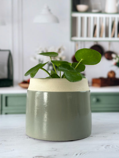 Cache-pot Cobi – Beige & Vert Sauge