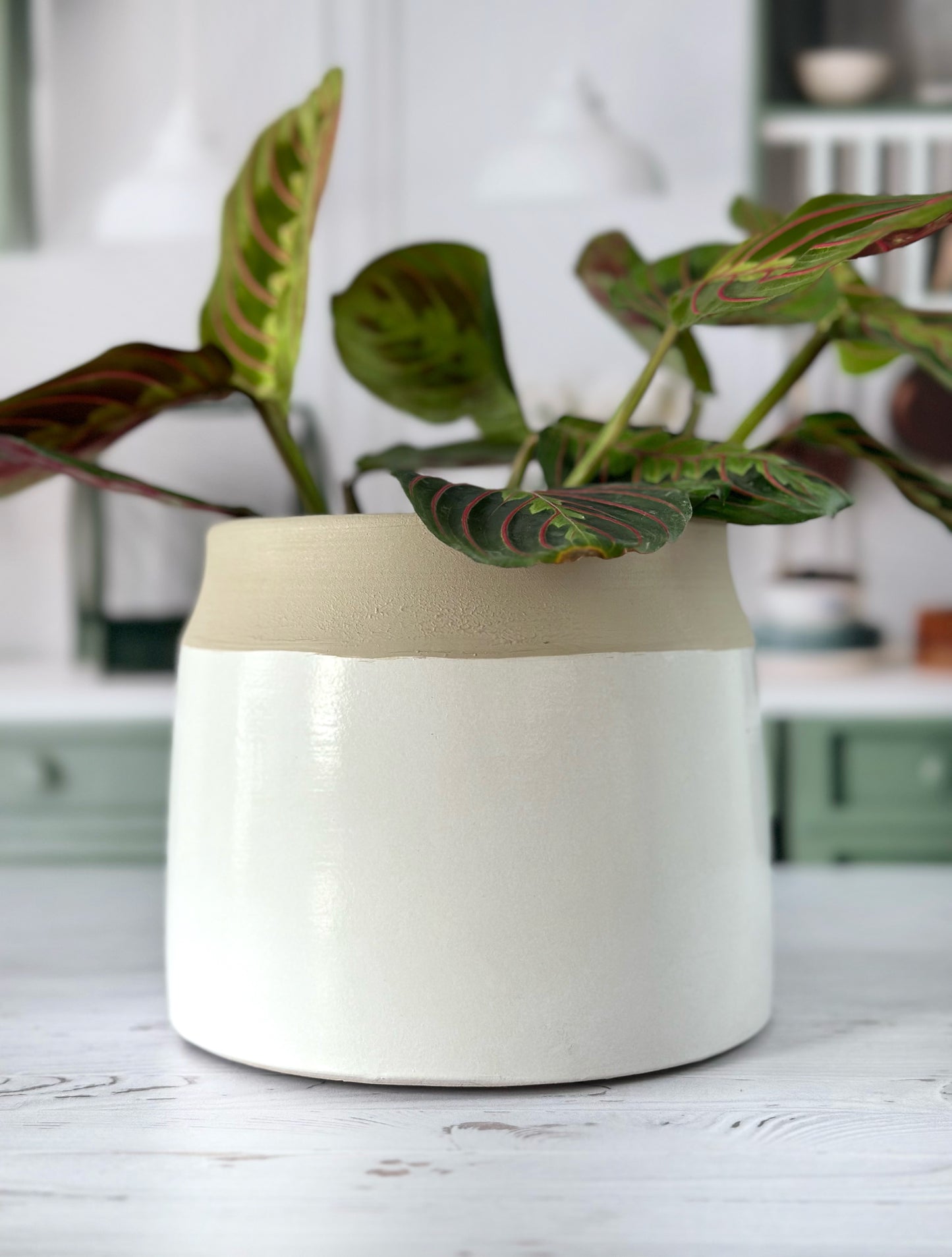 Cache-pot Cobi – Beige & Vert Sauge