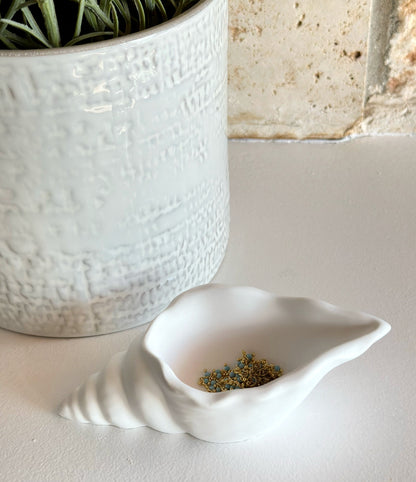 Objet Coquillage Perle