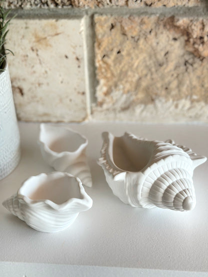 Objet Coquillage Perle