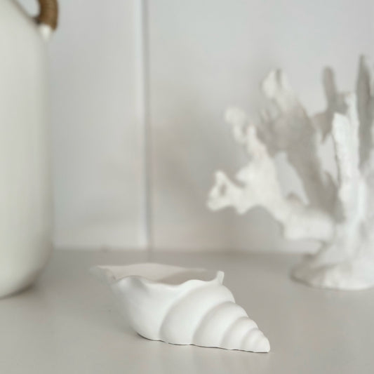 Objet Coquillage Perle