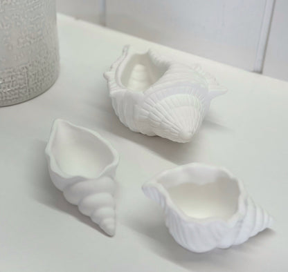 Objet Coquillage Perle